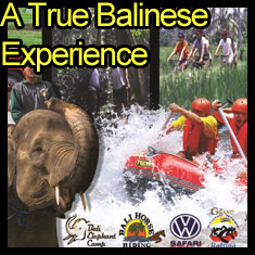 True Balinese Experience