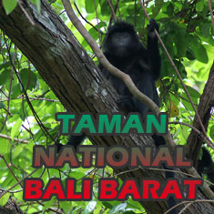 National Bali Barat