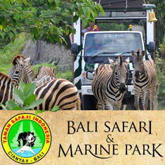 Safari & Marine Park